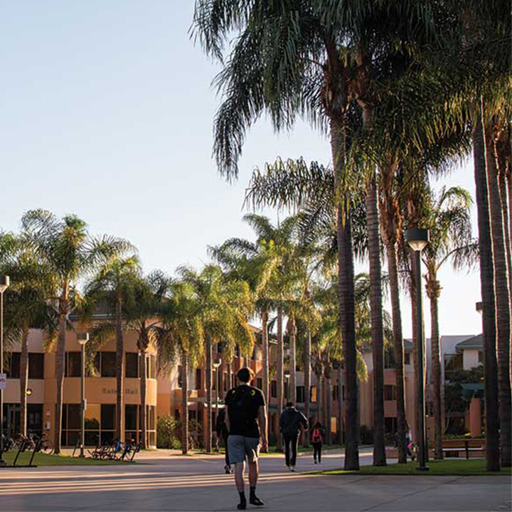 Several students walk along the path beneath tall palm trees, with residence halls and apartment-style housing visible in the late afternoon sunlight