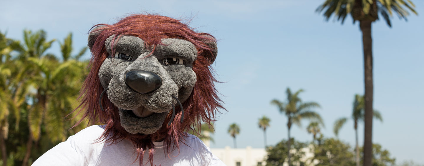 Iggy standing in front of Xavier Hall in Sunken Garden