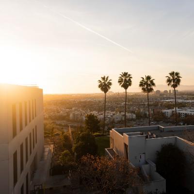 An aerial shot overlooking the bluff and palm trees during sunset.
